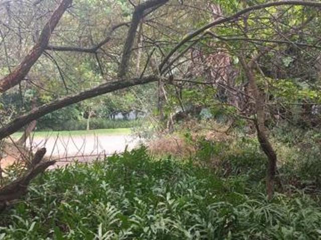 Property for sale