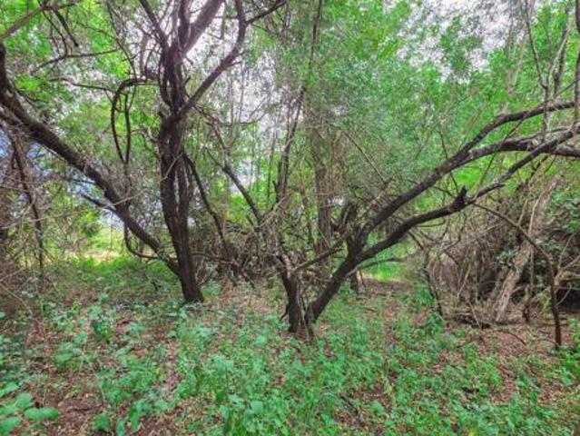 Property for sale in Ehlanzeni, Mpumalanga