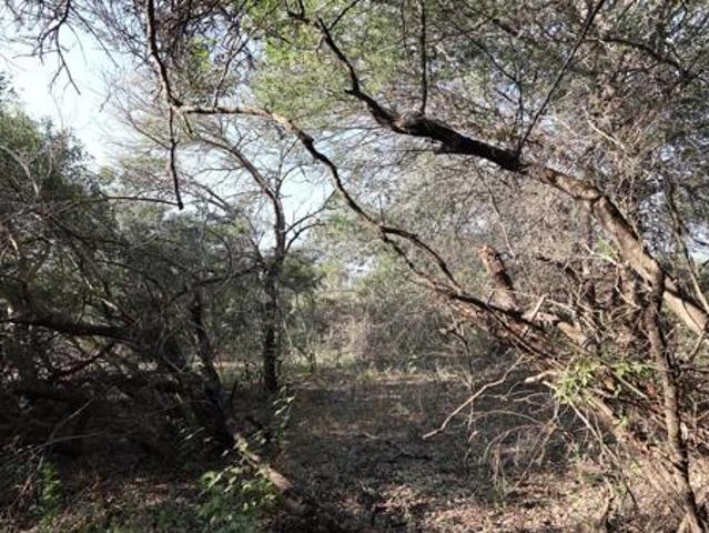 Property for sale in Ehlanzeni, Mpumalanga