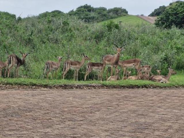 Property for sale in Ugu District Municipality, Kwazulu-natal