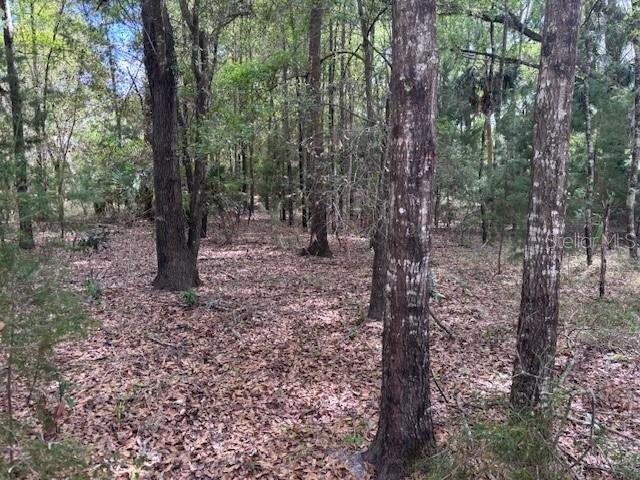 Land for sale in Chiefland, Florida