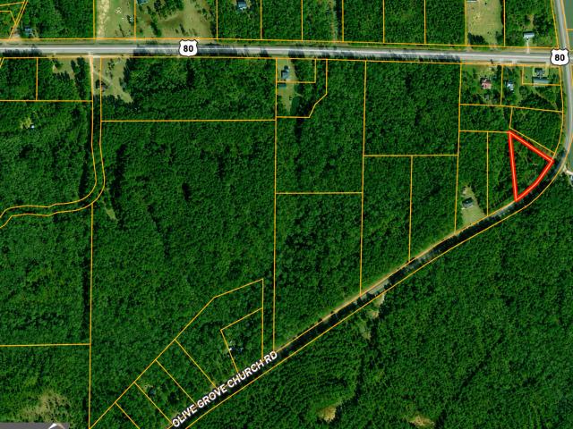 Land for sale in Roberta, Georgia