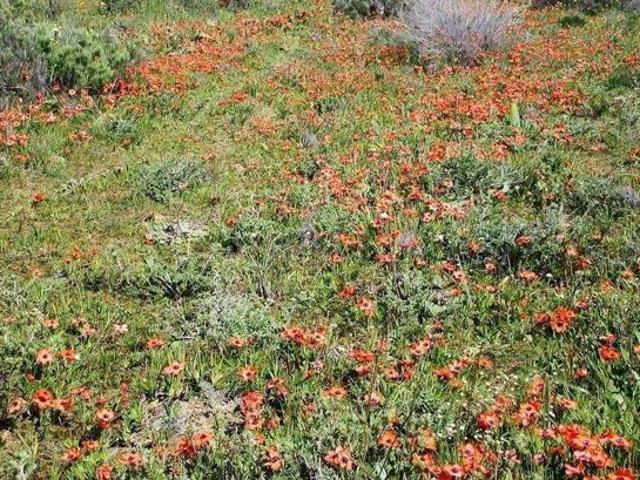 Property for sale in Hantam, Northern Cape