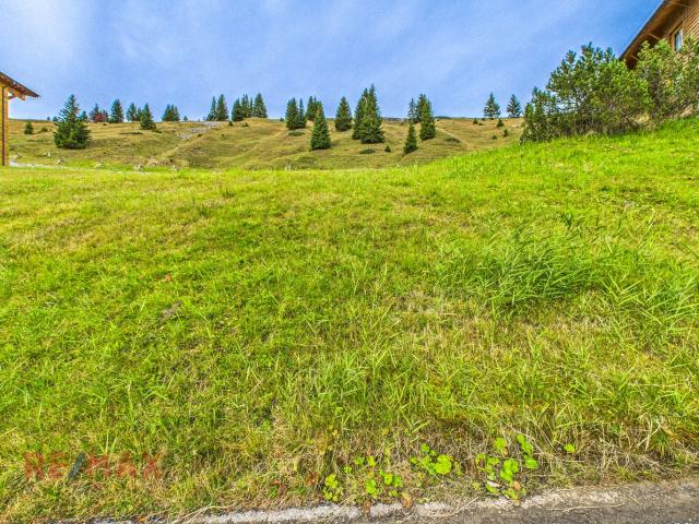 Grundstück kaufen in Damüls, Vorarlberg