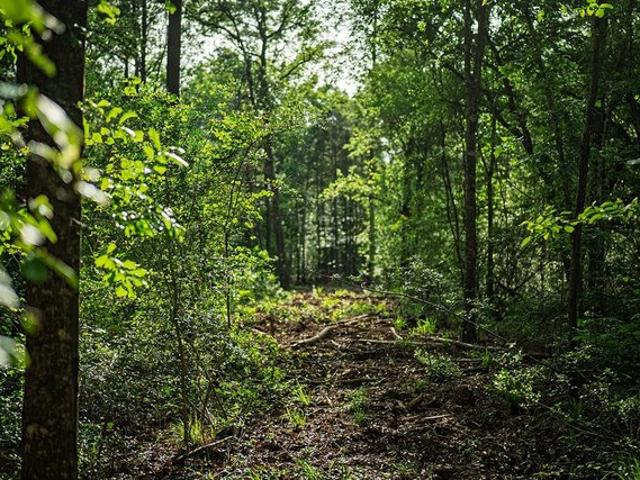 Land for sale in Walker, Texas
