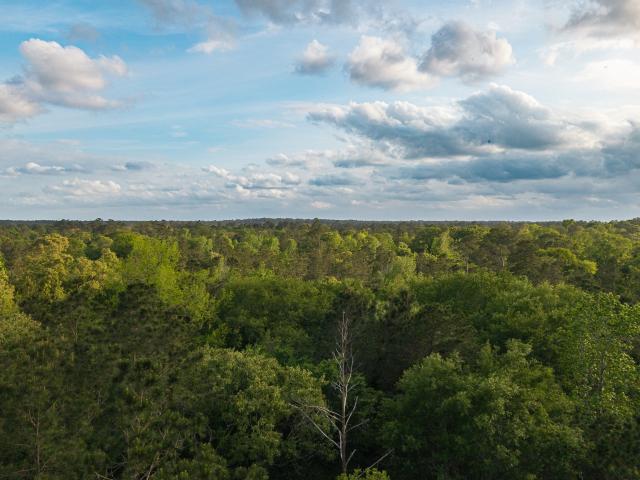 Land for sale in Walker, Texas