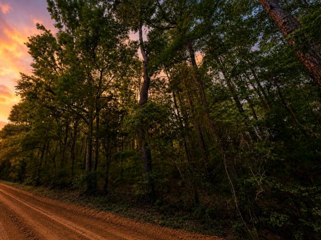 Land for sale in Walker, Texas