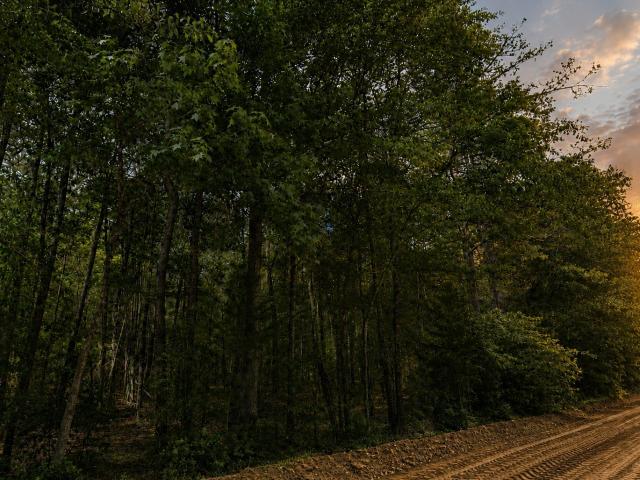 Land for sale in Walker, Texas