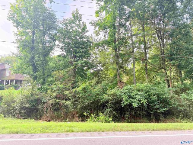 Land for sale in Joppa, Alabama
