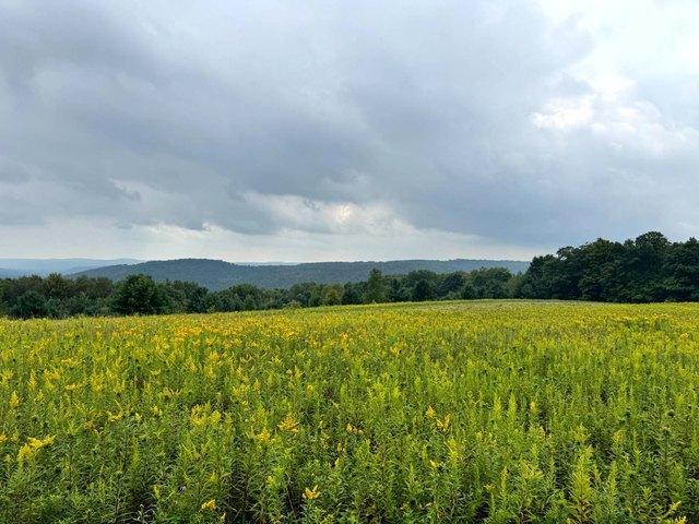 Land for sale in Richford, New York