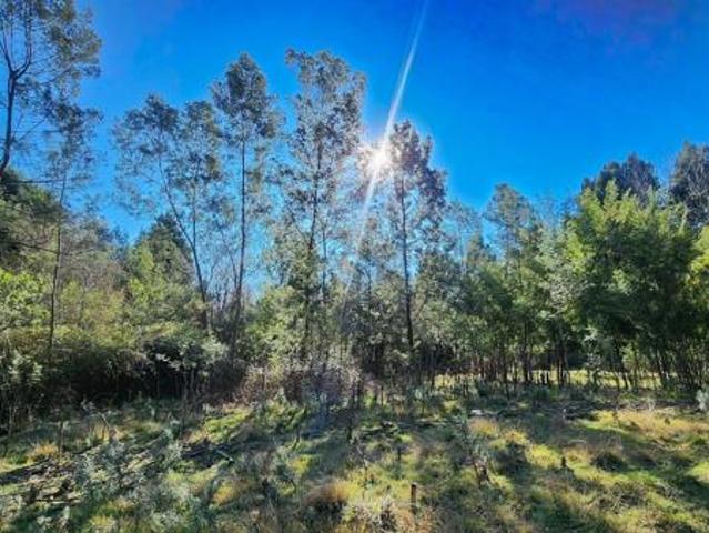 Land for sale in Alice, Nkonkobe Local Municipality