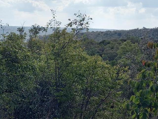Land for sale in Limpopo