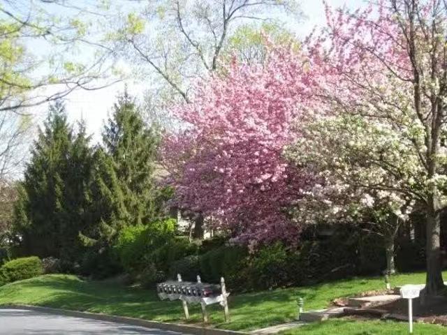 Condo for rent in Harrisburg