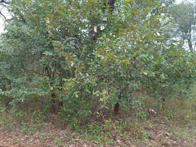 Property for sale in Ehlanzeni, Mpumalanga