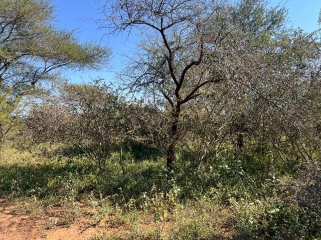 Property for sale in Ehlanzeni, Mpumalanga