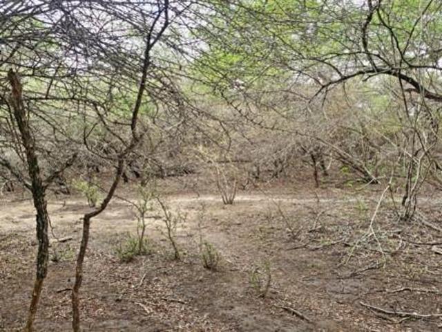 Property for sale in Ehlanzeni, Mpumalanga