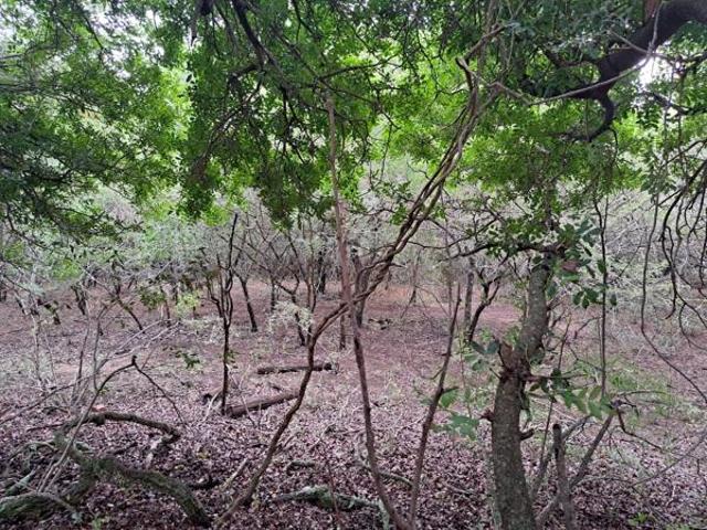 Property for sale in Ehlanzeni, Mpumalanga