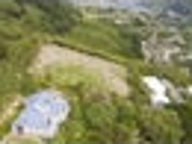 Land for sale in Matata, Wellington