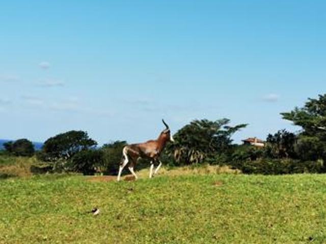 Property for sale in Ugu District Municipality, Kwazulu-natal