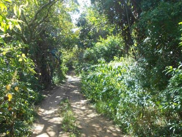 Property for sale in Ugu District Municipality, Kwazulu-natal