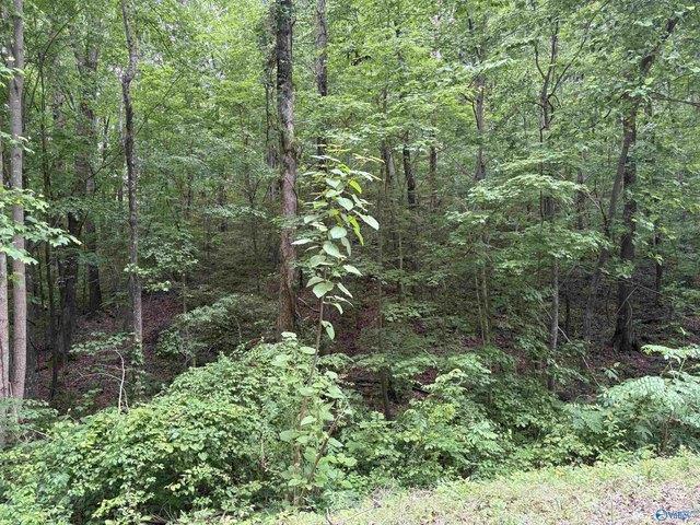 Land for sale in Falkville, Alabama