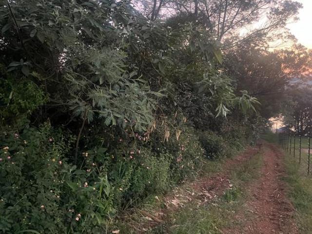 Property for sale in Mopani, Limpopo