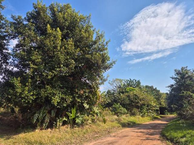 Property for sale in Ugu District Municipality, Kwazulu-natal