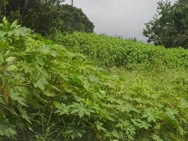 Property for sale in Ugu District Municipality, Kwazulu-natal