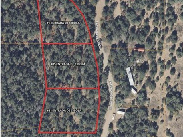 Land for sale in Placitas, New Mexico