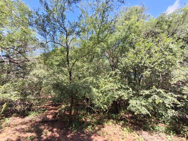 Property for sale in Ehlanzeni, Mpumalanga