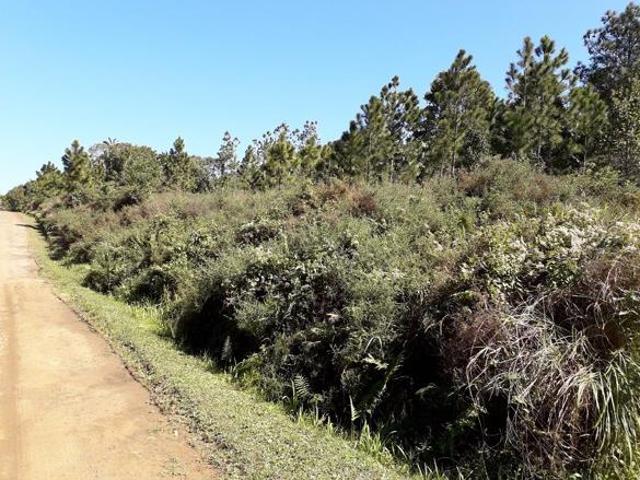 Property for sale in Ugu District Municipality, Kwazulu-natal