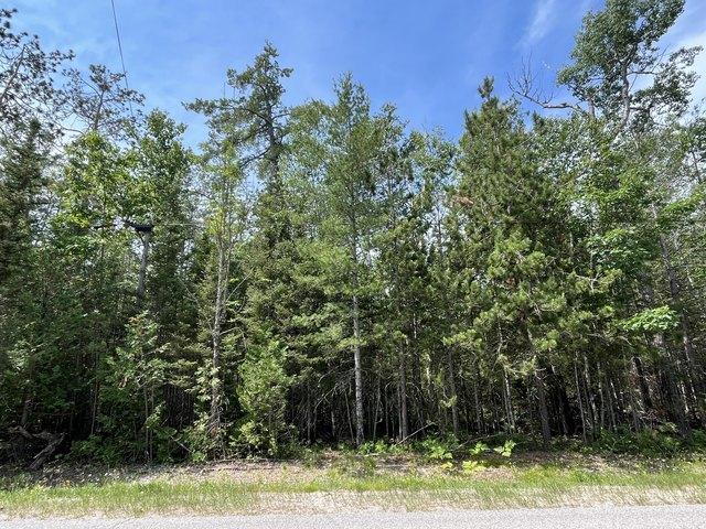 Land for sale in Presque Isle, Michigan
