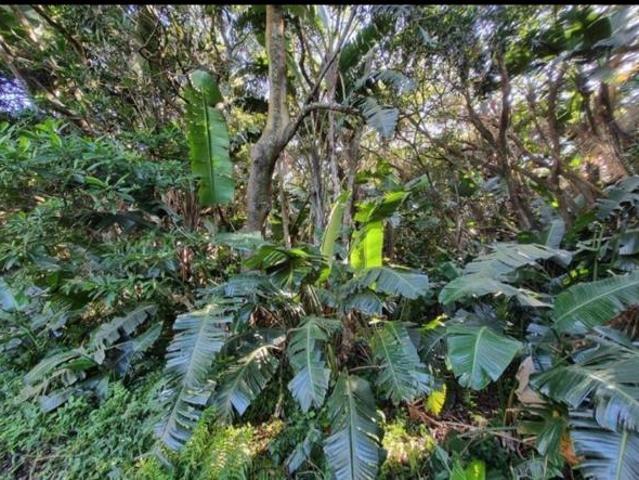 Property for sale in Ugu District Municipality, Kwazulu-natal