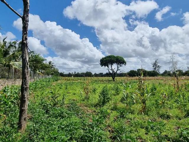 Land for sale
