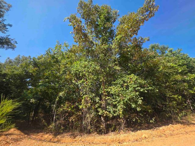 Land for sale in Ark