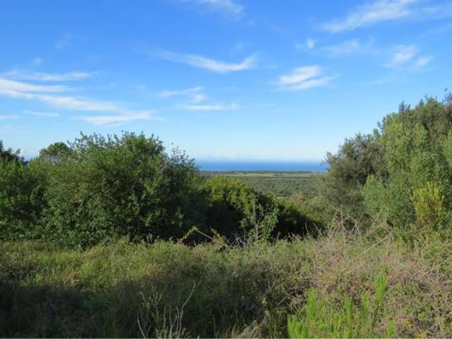 Land for sale in Eastern Cape