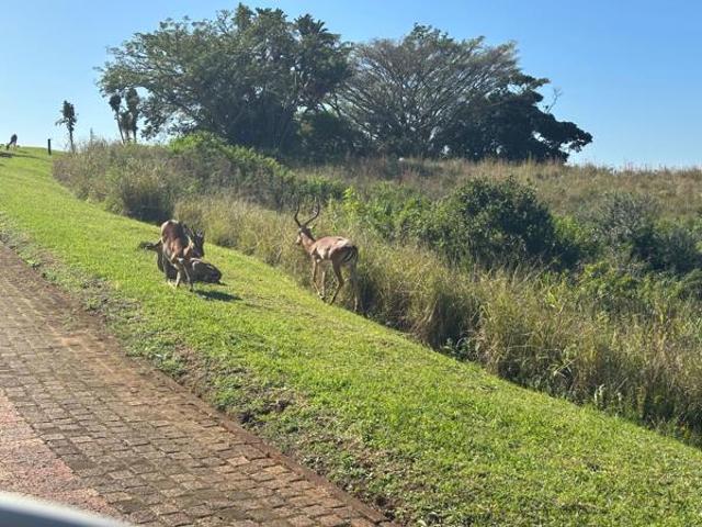 Land for sale in Ugu District Municipality, Kwazulu-natal