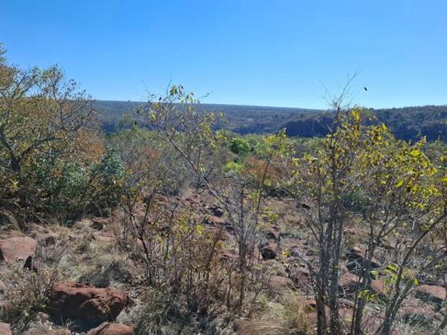 Land for sale in Limpopo