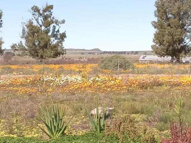 Land for sale in Hantam, Northern Cape