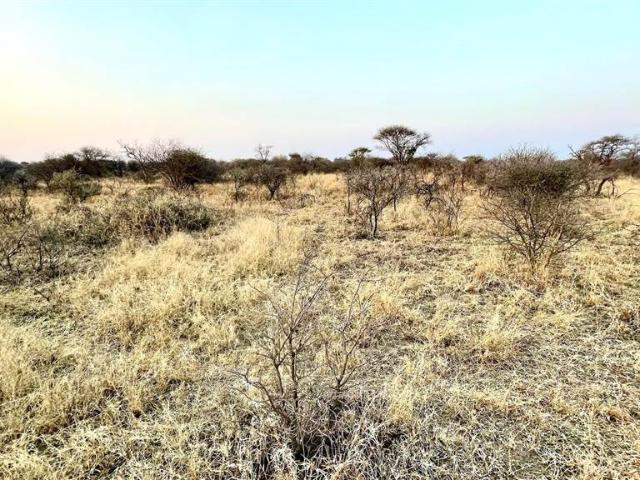 Land for sale in Limpopo