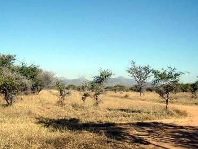 Land for sale in Limpopo