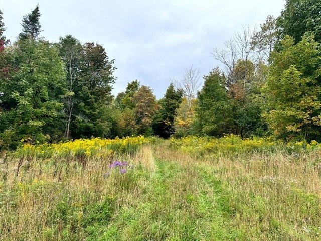 Land for sale in Lewis County, New York