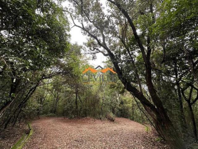 Terreno venda em Região Geográfica Imediata de Belo Horizonte, Região Metropolitana de Belo Horizonte