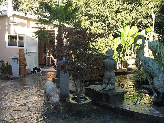 House for rent in Victoria, British Columbia