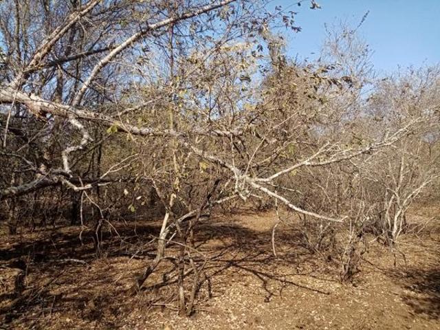 Property for sale in Ehlanzeni, Mpumalanga