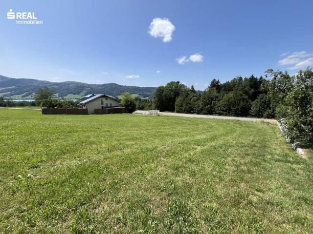 Grundstück kaufen in Aurachamhongar, Oberösterreich