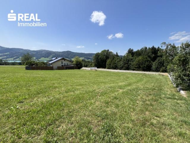Grundstück kaufen in Zell am Moos, Oberösterreich