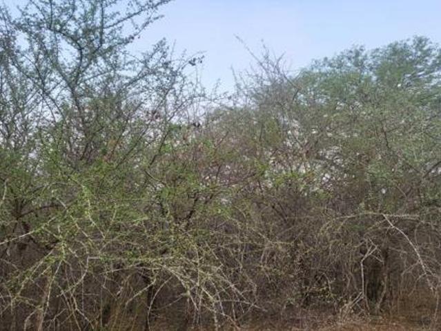Property for sale in Ehlanzeni, Mpumalanga
