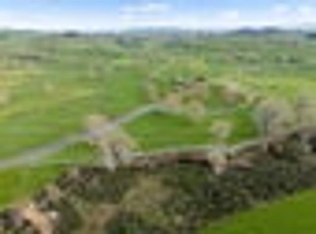 Land for sale in Waikato