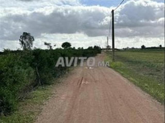 Propriété vente à Slimane, Gharb-Chrarda-Beni Hssen